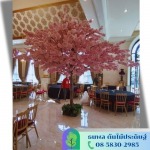 บริการเช่าต้นไม้ปลอม 