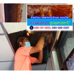 บริษัทกำจัดปลวก อุบลราชธานี - ร้านไทยท็อป เพสท์คอนโทรล เซอร์วิส