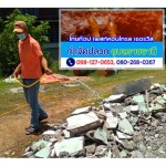 ฉีดพ่นน้ำยาป้องกันปลวกยโสธร - ร้านไทยท็อป เพสท์คอนโทรล เซอร์วิส