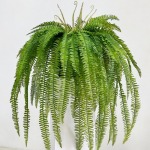Where to buy cheap fake plants - แหล่งขายปลีก-ส่งดอกไม้ปลอม sisterflower