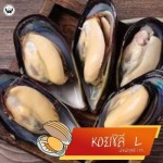 จำหน่ายอาหารทะเลแช่แข็ง - บริษัท ป.ปนัฐดา อินเตอร์มารีนฟู๊ด จำกัด