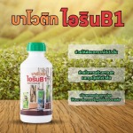 บาร์โวติก ไอริน B1 - จำหน่ายสารปรับปรุงดิน ปุ๋ยน้ำเพิ่มผลผลิต จากนวัตกรรมอเมริกา