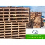 ไม้พาเลทราคาถูก - บริษัท พีแอนด์ทีพาเลท จำกัด