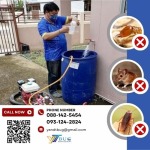 กำจัดปลวกระบบเคมี ราคาถูก - บริษัทกำจัดปลวก สมุทรสาคร - วาย แอนด์ ที บัก เมเนจเม้นท์