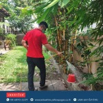 ผู้กำจัดสัตว์รบกวนและสัตว์เลื้อยคลาน - กำจัดตุ๊กแก เซททาไวท์