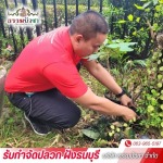 บริษัทกำจัดปลวก ใกล้ฉัน - บริษัทกำจัดปลวก ฝั่งธนบุรี - ธรรมบัวชา