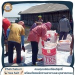 ขายส่งเกลือแท้คุณภาพสูง นาเกลือเพชรบุรี - เกลือทะเลเพชรบุรี