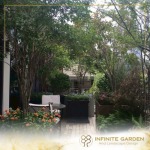 รับจัดสวน - รับออกแบบจัดสวน - infinitegarden