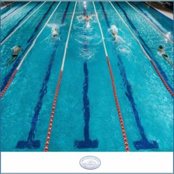 cheap swimming pool construction