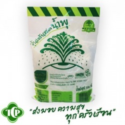 วุ้นเส้นสดน้ำพุ