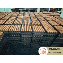 Bangkok Egg Boiled Eggs