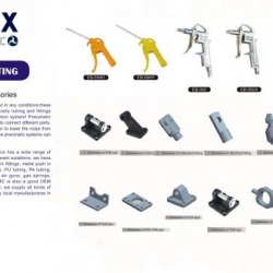 Air gun and Mounting