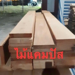 นำเข้า จำหน่ายไม้แคมปัส