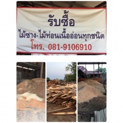 ไม้ซาง ไม่ท่อนเนื้ออ่อน แพร่