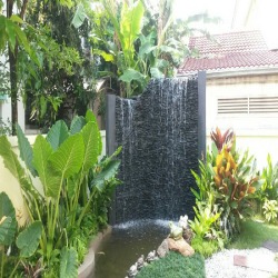 ม่านน้ำ
