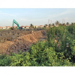 ถมที่