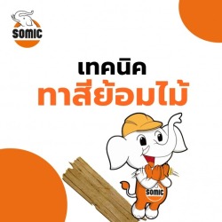 เทคนิคทาสีย้อมไม้