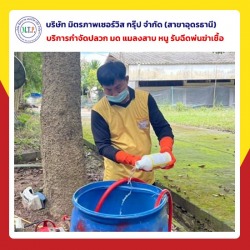 กำจัดปลวกอุดรธานีราคาถูก
