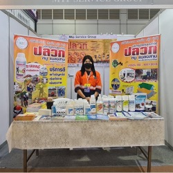 รับวางระบบกำจัดปลวกอาคารเพชรบุรี