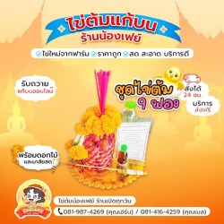 ชุดไข่ต้มแก้บน9ฟอง ราคาประหยัด