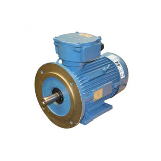 มอเตอร์กันระเบิด / Explosion Proof Motor  มอเตอร์  มอเตอร์กันระเบิด  explosion proof motor 
