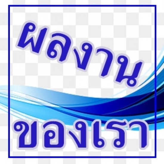 ผลงานของเรา เครื่องกำเนิดไฟฟ้า 