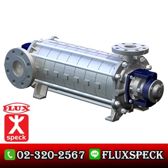 ปั๊ม Boiler Feed ปั๊มมัลติสเตจสำหรับป้อนน้ำเข้าบอยเล่อร์  ปั๊ม Boiler Feed 