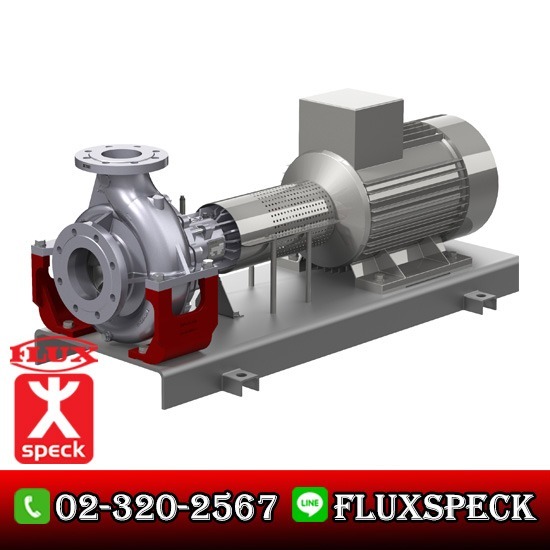 Multistage Pump - Boiler Feed Pump ปั๊มสูบน้ำมันร้อนชนิดมีแม็กซีล 
