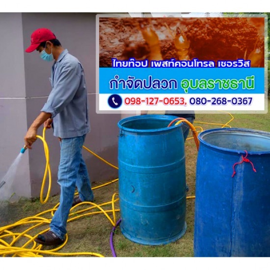 กำจัดปลวก อำนาจเจริญ กำจัดปลวก อำนาจเจริญ ราคา  กำจัดปลวก อำนาจเจริญ ราคาถูก  กำจัดปลวก อำนาจเจริญ ใกล้ฉัน  กำจัดปลวกใกล้ฉัน อำนาจเจริญ  กำจัดปลวก ราคาถูก อำนาจเจริญ  กำจัดปลวกราคา อำนาจเจริญ  กำจัดปลวก อำนาจเจริญ 
