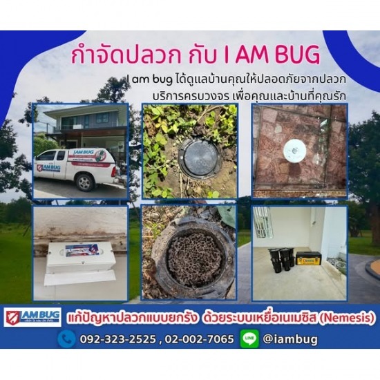 กำจัดปลวกรังสิต กำจัดปลวกรังสิต  กำจัดปลวกนวนคร  รับวางเหยื่อล่อปลวก รังสิต  กำจัดปลวก ราคาถูก  บริษัทฉีดปลวกรังสิต  บริษัทกำจัดปลวกปทุมธานี  วางท่อกำจัดปลวกราคาถูก  บริษัทกำจัดแมลงสาบรังสิต  รับวางท่อกำจัดปลวก  กำจัดปลวกยกรัง ลำลูกกา 