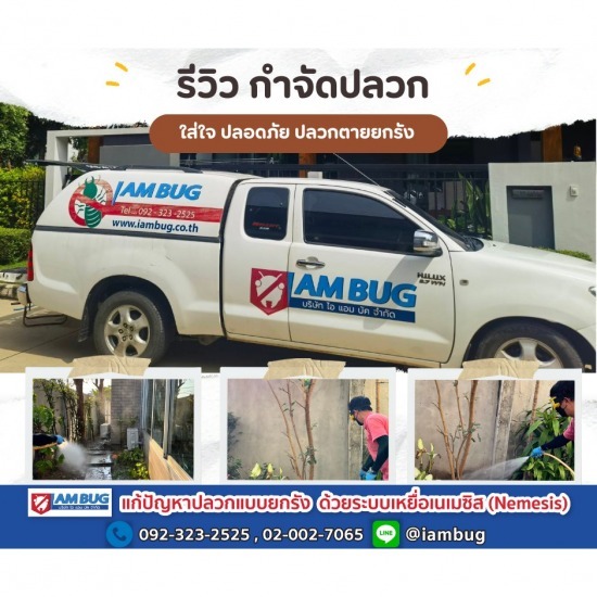 บริษัทกำจัดแมลงสาบรังสิต บริษัทกำจัดแมลงสาบรังสิต  บริษัทกำจัดแมลงสาบ ปทุมธานี  บริษัทกำจัดแมลงสาบ ลำลูกกา  บริษัทกำจัดแมลงสาบราคาถูก  บริษัทกำจัดแมลงสาบใกล้ฉัน  รับกำจัดแมลงสาบ รังสิต  กำจัดแมลงสาบ รังสิต  รับกำจัดแมลงสาบ ปทุมธานี  รับกำจัดแมลงสาบ ลำลูกกา  กำจัดแมลงสาบ ราคาถูก 