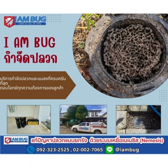 กำจัดปลวกยกรัง ลำลูกกา กำจัดปลวกยกรัง ลำลูกกา  กำจัดปลวกยกรัง ลำลูกกาคลอง 1  กำจัดปลวกยกรัง ลำลูกกาคลอง 2  กำจัดปลวกยกรัง ลำลูกกาคลอง 3  กำจัดปลวกยกรัง ลำลูกกาคลอง 4  กำจัดปลวกยกรัง ลำลูกกาคลอง 5  กำจัดปลวกยกรัง ลำลูกกาคลอง 6  กำจัดปลวกยกรัง ลำลูกกาคลอง 7  รับวางเหยื่อล่อปลวก ปทุมธานี  กำจัดปลวก ราคาถูก 