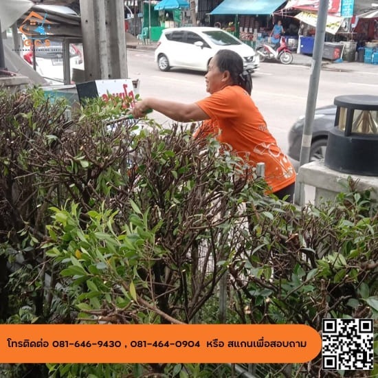 บริการตัดต้นไม่ จัดสวน  นนทบุรี รับทำความสะอาดรับทำความสะอาด นนทบุรี  บริการแม่บ้านทำความสะอาด  บริการรับคลีนนิ่งบ้าน  บริการแม่บ้านทำความสะอาดบ้านเดี่ยว 