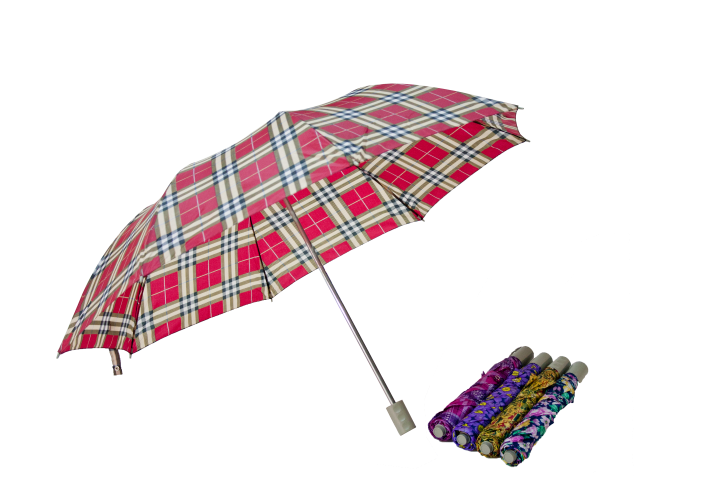 8ร่มพับ (11) (Small)